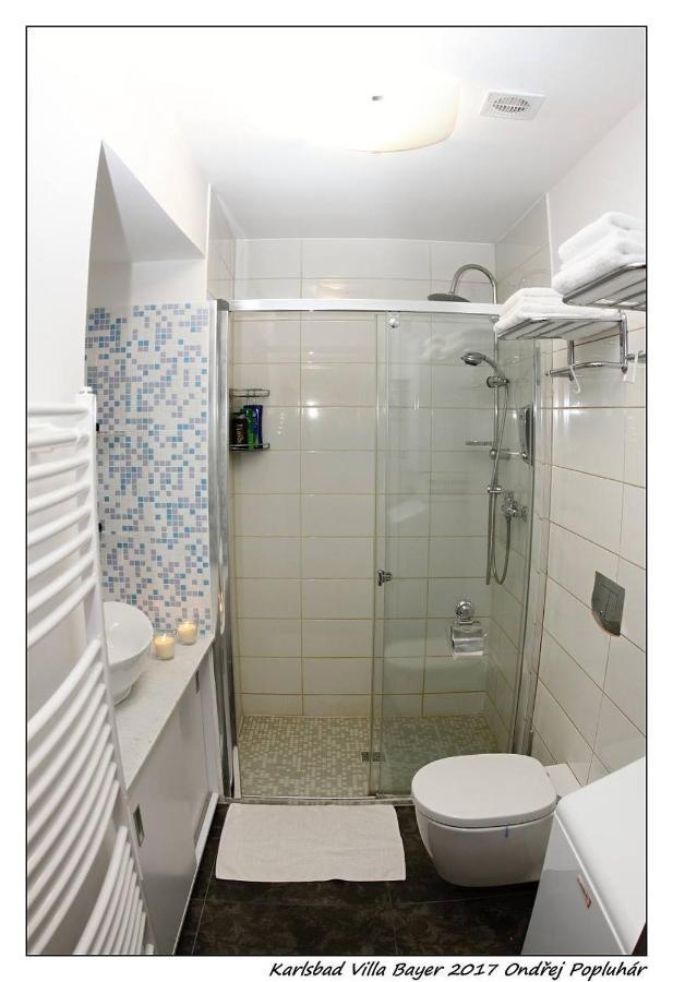 Apartman Vila Bayer การ์โลวีวารี ภายนอก รูปภาพ