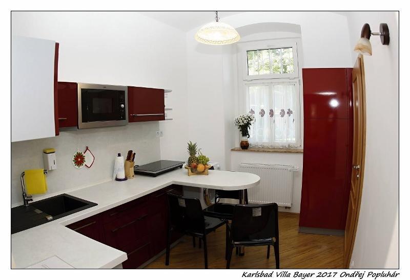 Apartman Vila Bayer การ์โลวีวารี ภายนอก รูปภาพ